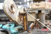 命理八字小蚕虫变身“产业龙”，广西这座小城如何实现“破茧重生”？
