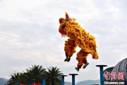 命理八字（文化中国行）壮乡狮舞闯南洋：脚踏“云桩” 饮誉海内外